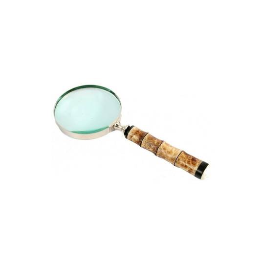 Nickle and Bone Magnifying Glass